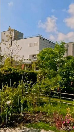 【東京臨海副都心】全長4kmを貫く都市の背骨。9月中旬、残暑の光が照らすシンボルプロムナード公園。🌿 Urban Backbone.