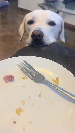 Blue 💙 | Jessica Hernandez