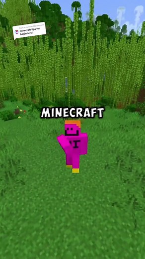 Minecraft Beginner Tips: XP Farms, Diamond Dimension, & More!