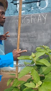 18K views · 389 reactions | La lecture de #sodji229officiel N'oubliez pas d'utiliser mon code promo SODJI et bénéficier jusqu'à 200% de bonus | Sodji229 officiel | Facebook