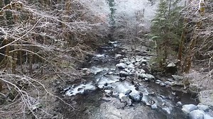 Chris Thompson on Reels