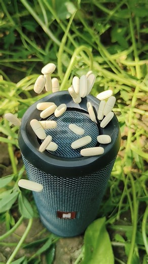 jbl essential 2 medicine flip 🔔