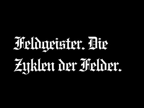 Feldgeister. Die Zyklen der Felder.