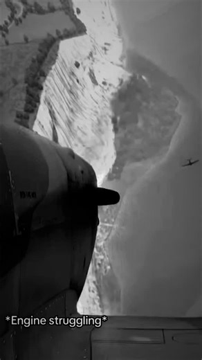 cadhermen on Instagram: "🦅💪🏼🇩🇪🇩🇪Messerschmitt Bf 109 dominated 💪🏼🫡Battle of Britain skies against Spitfires through superior dive tactics and engine resilience, powering Luftwaffe aces in intense dogfights. Messerschmitt Bf 109E vs Supermarine Spitfire Mk I, Battle of Britain 1940: Bf 109's Daimler-Benz DB 601 fuel-injected engine enables negative-G dives without cutting out—Spitfire pilots push nose-down, Merlin carburetor floods, engine starves; RAF tactic to escape: dive to treetop 