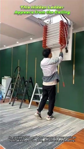 This Hidden Ladder Appears from the Ceiling