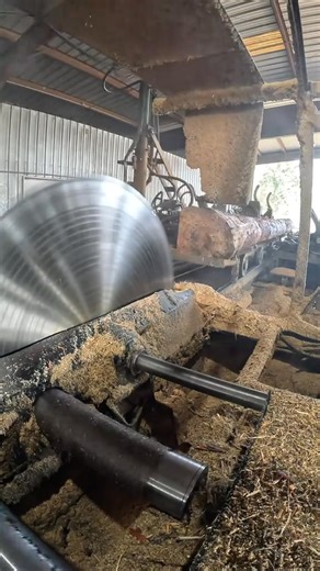 1.3K views | Precision milling and big timber craftsmanship in action  | Wood Of Branch | Facebook
