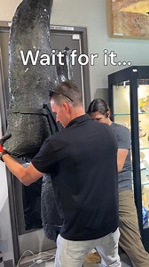 You won’t believe what’s hidden inside this massive geode… 👀 Watch as we carefully move this stunning Amethyst Geode Cathedral Pair into the gallery — the real magic is revealed halfway through. Deep violet crystals, calcite inclusions, and a perfect Yin Yang formation make this a showstopper you have to see to believe. https://www.rareearthgallerycc.com/shop/amypr29-fffe/amethyst-geode-cathedral-pait-in-fitted-stand-from-brazil-with-calcite-crystal- | Rare Earth Gallery