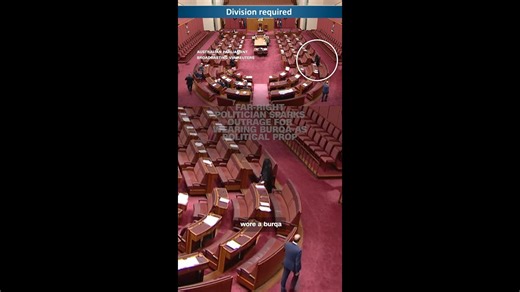 Far-right politician sparks outrage for wearing burqa as political prop - Main Stream Videos