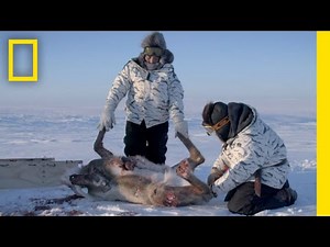 Hunting Caribou | Into the Freeze | Life Below Zero