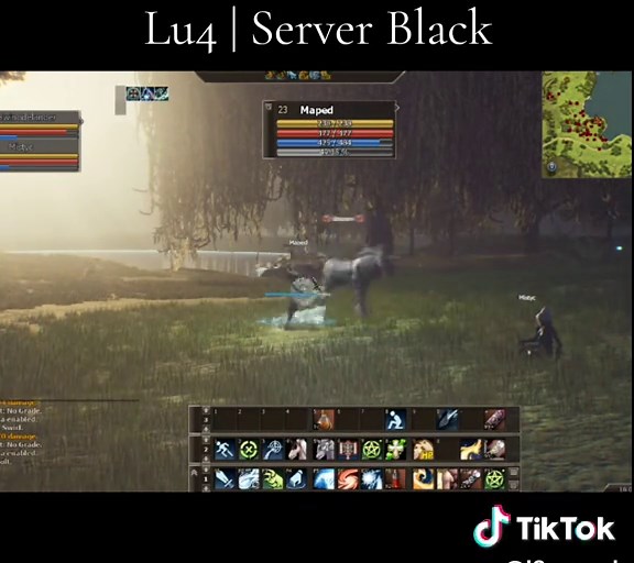 Farm Lu4 | Server Black - Discover Lineage2 Remastered
