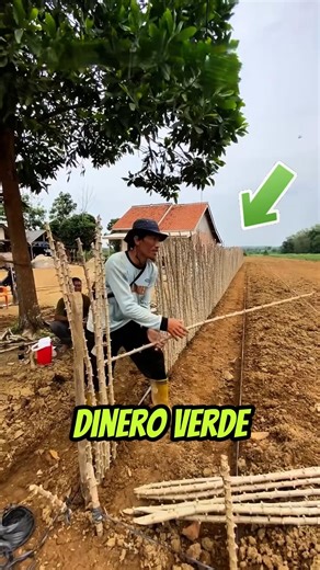 This is how LIVING fences work and generate benefits! 🌿