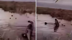 Sickening moment teenager beats and burns his whimpering pet labrador during duck hunt as cops arrest three teens aged 15 for animal cruelty and dog is rehomed