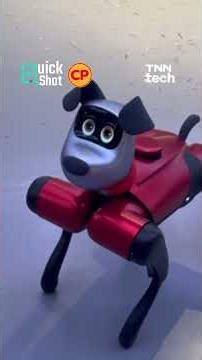 China is developing "RoboMIND," ​​a smart robotic device, aiming to produce 5,000 humanoids per y...