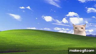 1 Hour Cat eating a chips in the Windows XP wallpaper FULLSCREEN on Make a GIF