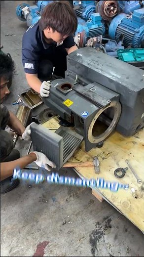 Disassembly Busch Oil-lubricated rotary vane vacuum pumps