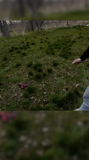 224K views · 6.3K reactions | WE ENCOUNTER OUR FIRST SKIN WALKER AT SKIN WALKER RANCH #scary #paranormal #creepy #skinwalker #secretofskinwalkerr #fblifestyle #secretofskinwalkerranch #horror #america | The Secret of Skinwalker Ranch | Facebook