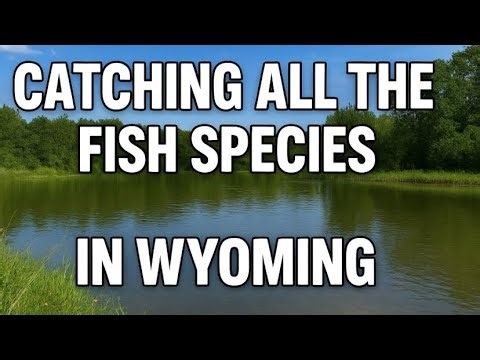 Catching all the fish species in Wyoming (Episode 1)