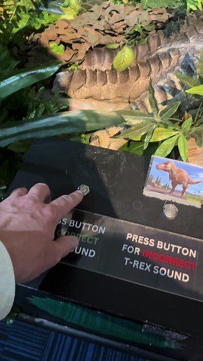 Family Adventure at The National Dinosaur Museum in Canberra
