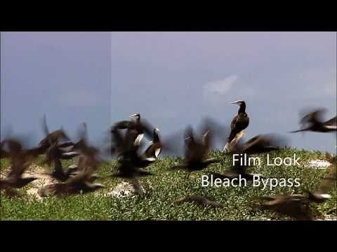 Blaine's Film Look Effects