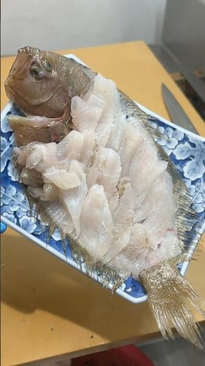 珍しい魚を姿造りにしたら美味しすぎた【タマガンゾウビラメ】