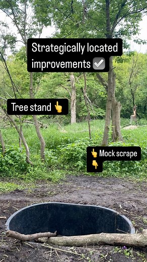 603 reactions · 4 comments | There should be several reasons to hang a tree stand at any given location in order to see the best results possible. #whitetail #whitetails #whitetailproperties #whitetailhabitat #lonewolftreestands #mockscrapes #whitetaildesignbuild #mathewsarchery | Whitetail Design Build LLC | Facebook