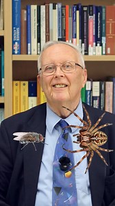 111K views · 1.4K reactions | What have the Pythagorean theorem and IKEA got in common? Watch Robin Wilson's full talk on the story of the Pythagorean theorem on the Oxford Mathematics YouTube Channel. #maths #geometry #puzzle #STEM | Oxford Mathematics | Facebook