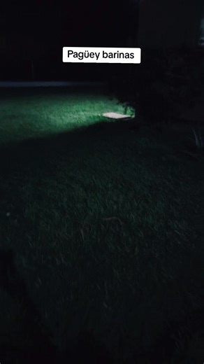 Que Luna tan clara primo 🌕 #videoviral #barinasvenezuela🇻🇪🔥♥️😎 #tendencia #tiktokviral #paratiiiiiiiiiiiiiiiiiiiiiiiiiiiiiii @Jorge F Guerrero S