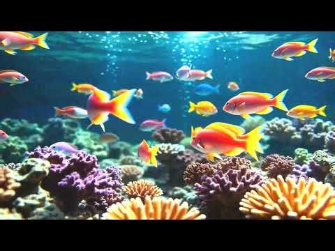 4K Aquarium Night Relaxation – Peaceful Fish & Sleep Music