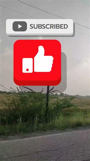 saturday special #####🍹