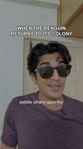 When the Penguin returns to its colony from the mountains