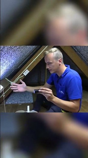 Houtworm onder je vloer en dakbeschot: wat nu?