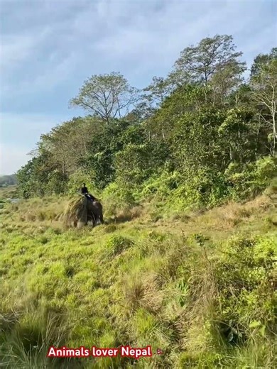 Punti waiting brother to come together 😲