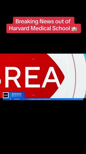 TheSurgeonsRoadie on TikTok