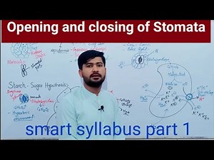 14.4 Opening and Closing of Stomata | Structure and Functions of Stomata| Fsc Biology 11