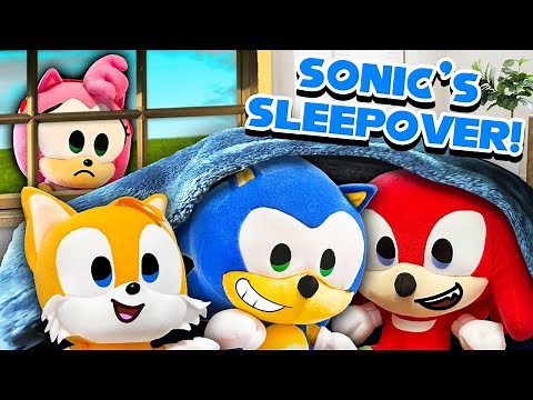 Sonic's Sleepover!! - Sonic & Amy Plush Squad