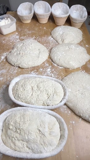 How to handle wet and over proofed dough, this is the dough I been proofing in my office and I was so busy with my office work, I didn’t pay attention to my dough, it was overproofed, I like to share with you how I handle this wet and over proofed dough. Recipe for 4 loaves 2,000 g. Bread flour 200 g. Whole wheat flour 440 g. Starter 1870 g. Water 44 g. Salt Mix everything in large bowl and rest for 20 minutes follow with 6 set of coil folds in every 20 minutes (2 hours)or you can coil fold ever