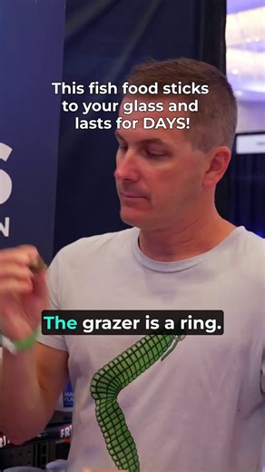 6.4K views · 37 reactions | This fish food sticks to your glass and lasts for DAYS! #FishFood #FishTank #FishCare #HealthyFish #AquariumHobby | SaltwaterAquarium.com | Facebook