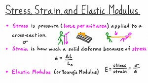 Stress, Strain, and Elastic Modulus