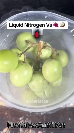 🛑VEJA A HISTORIA COMPLETA no link no meu perfil ou procure pelo canal