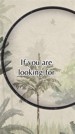 MODO Interior Designing on Instagram: "Every space has potential — it just needs the right direction. Modo Designs delivers thoughtful interior solutions in Mumbai and across India. Modo Designs transforms interiors with clarity and craft. Let’s build something meaningful, connect with us to get started. #MumbaiInteriors #InteriorDesignStudio #DesignedSpaces #SpacePlanning #InteriorDesignIndia (interior designer in Mumbai, Mumbai interiors, residential and commercial interiors, space planning, i