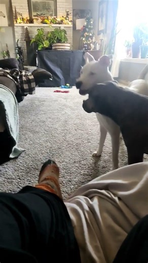 we make our fun inside. baby it's cold outside