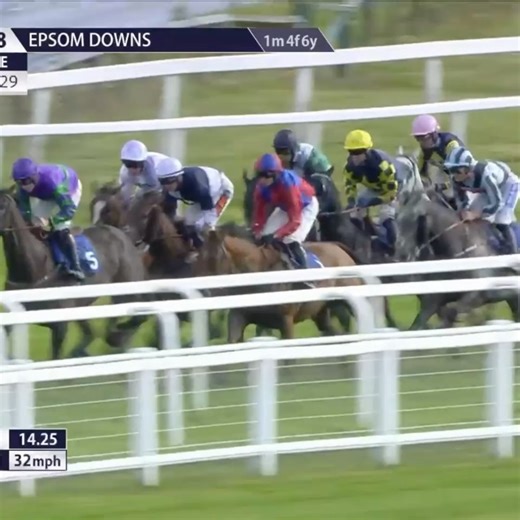 Epsom Downs Racecourse on Reels