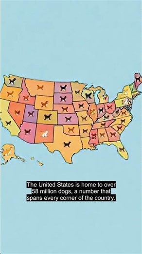 58 Million Dogs: America's Canine Population