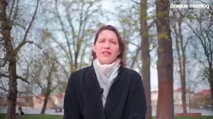 12K views · 153 reactions | ‍‍ An interview with Hana Stelzerová – Director of the Czech Women's Lobby about the maternity leave in the Czech Republic. | Prague Morning | Facebook