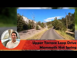Upper Terrace Loop Drive at Mammoth Hot Spring | Yellowstone National Park