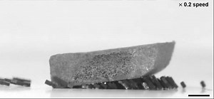 Watch: “Ant-Like” Robot Swarms Lift Heavy Objects With Herculean Strength