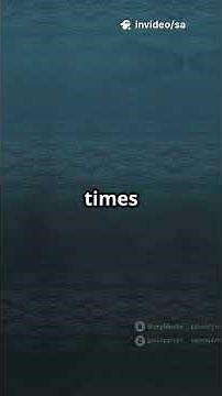 The Hadal Zone Deepest Ocean Explained