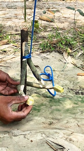 Setting up unique trap #trap