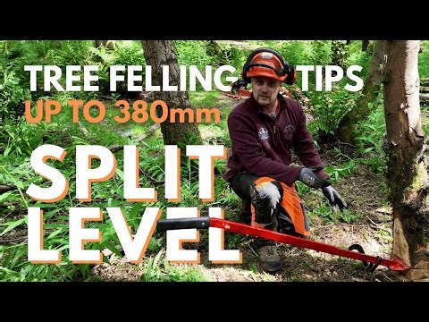 How To Fell A Tree With A Split Level Cut