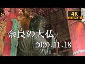 奈良の大仏 2020.11.18